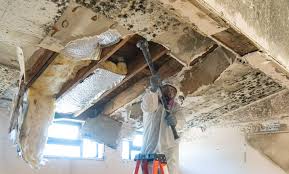 Reliable South Lake Tahoe, CA Mold Remediation Solutions